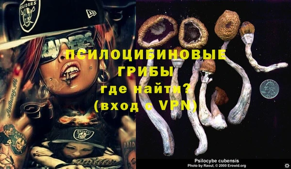 круглые Богородск