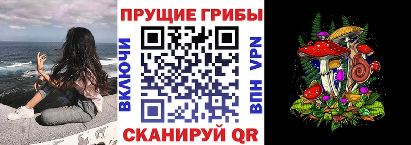 Псилоцибиновые грибы Psilocybe Ильский